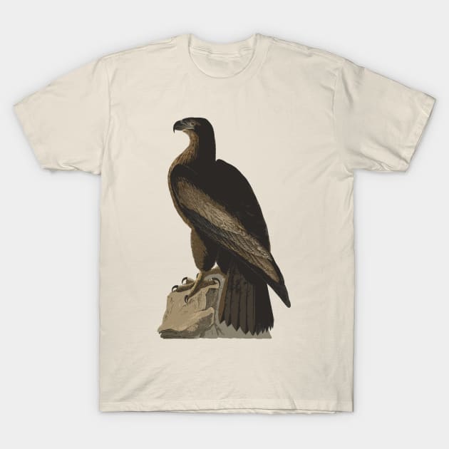 Great American Eagle T-Shirt by ArianJacobs